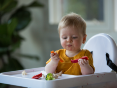 Sağlıklı Beslenmeyi Öğretmek