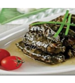 Labada Sarma