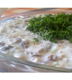 Yeşil mercimek salatası